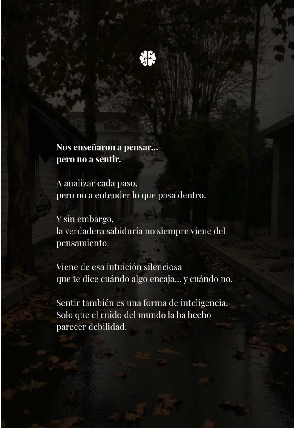 @Mente Selecta
