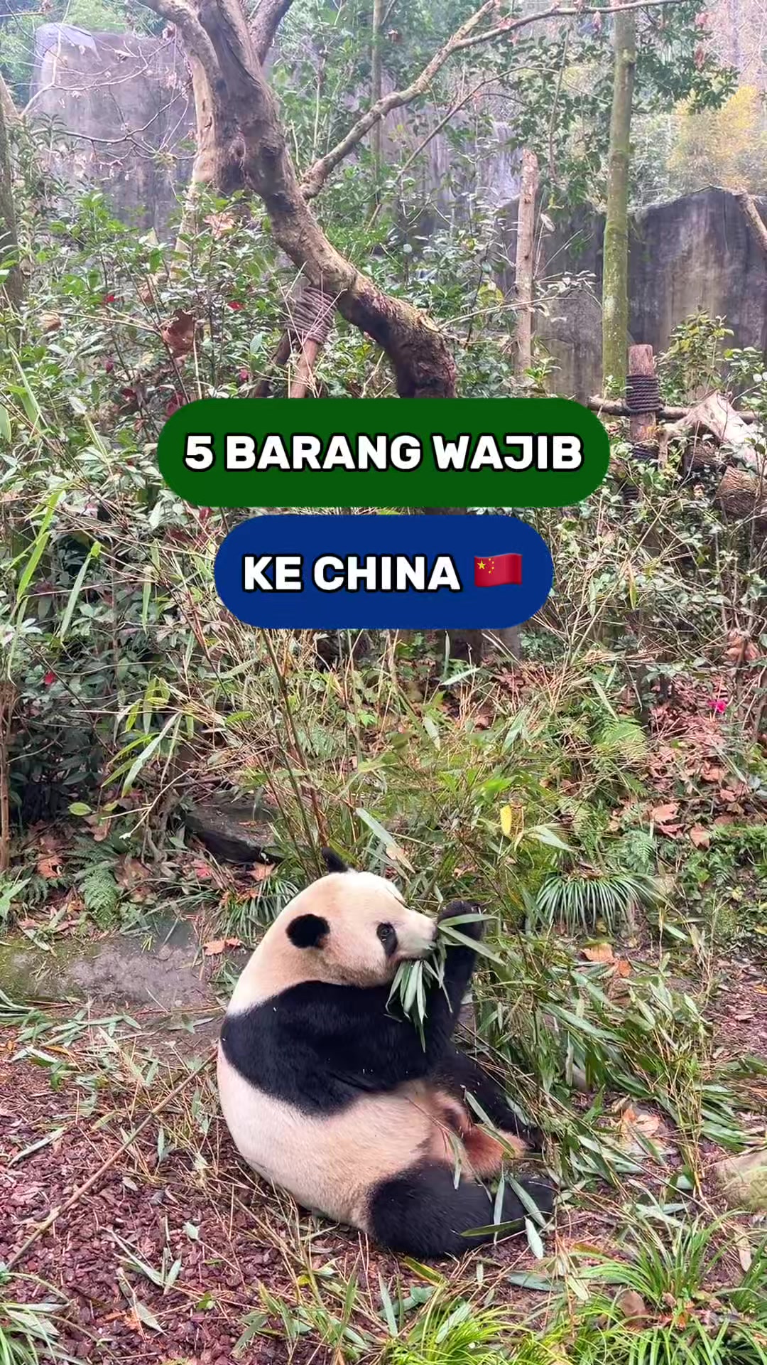 @nadialingga