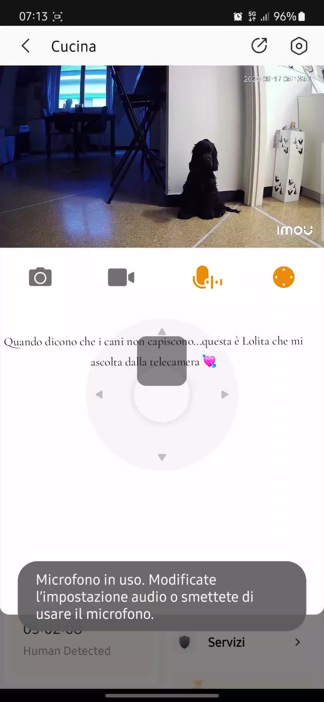 @lolita.la.cockerina