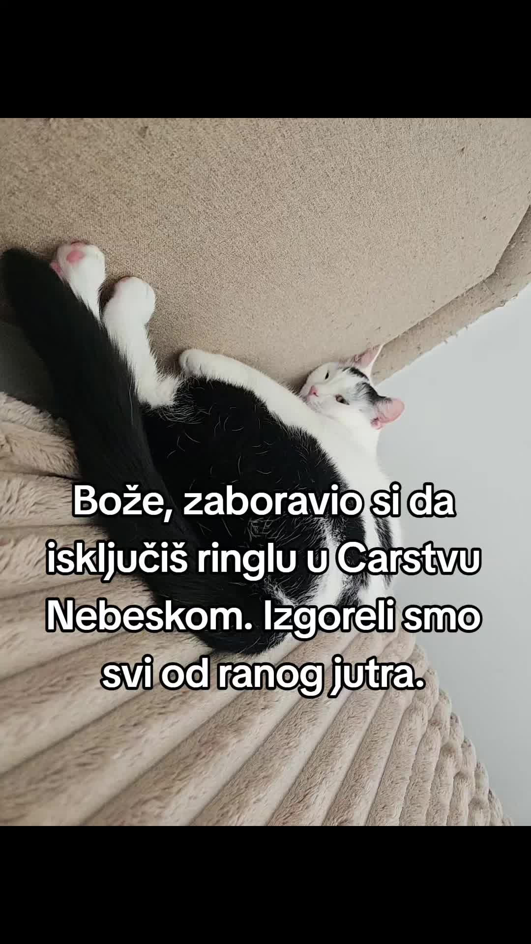 @Tina★