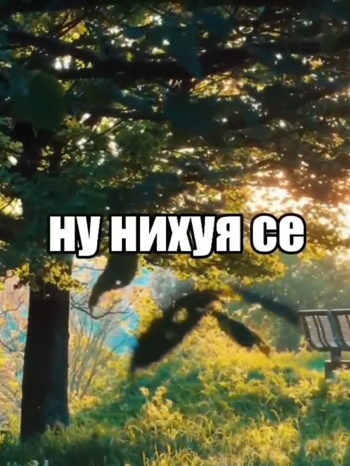 @size