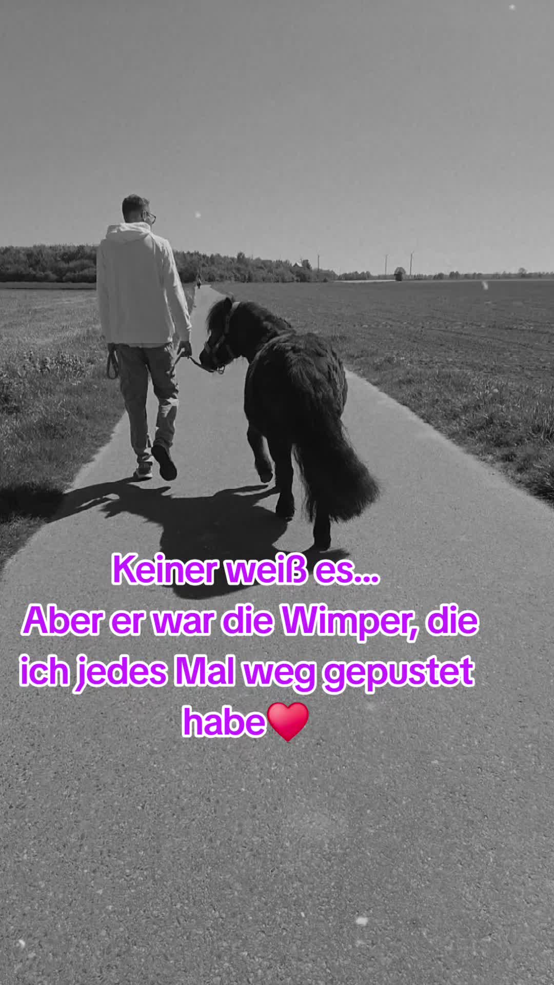 @Mo Ni Weber