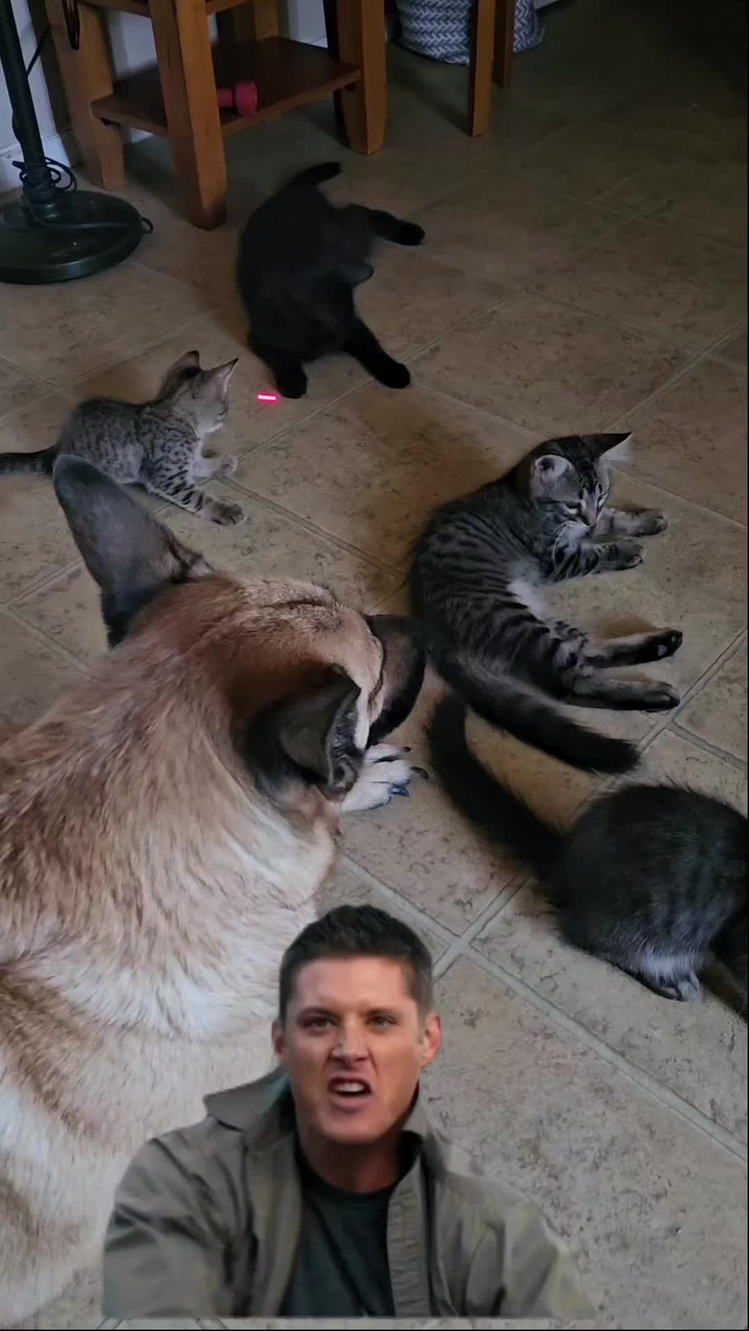 @Sonia&Rosieroo♥️🐾