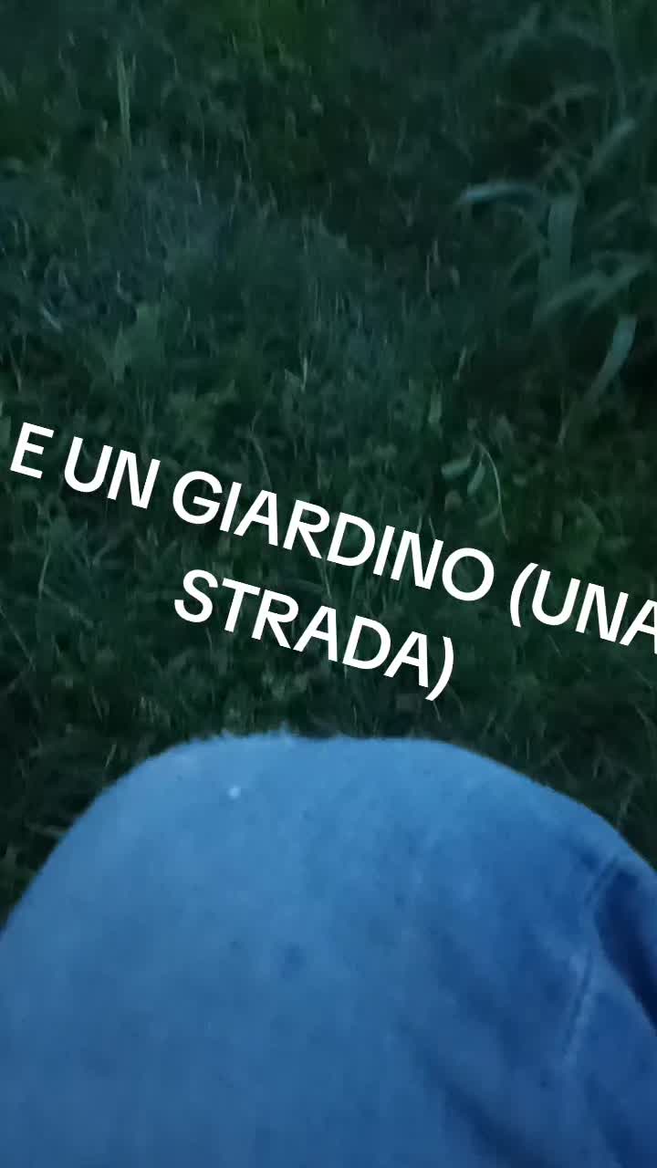 @sono bravo