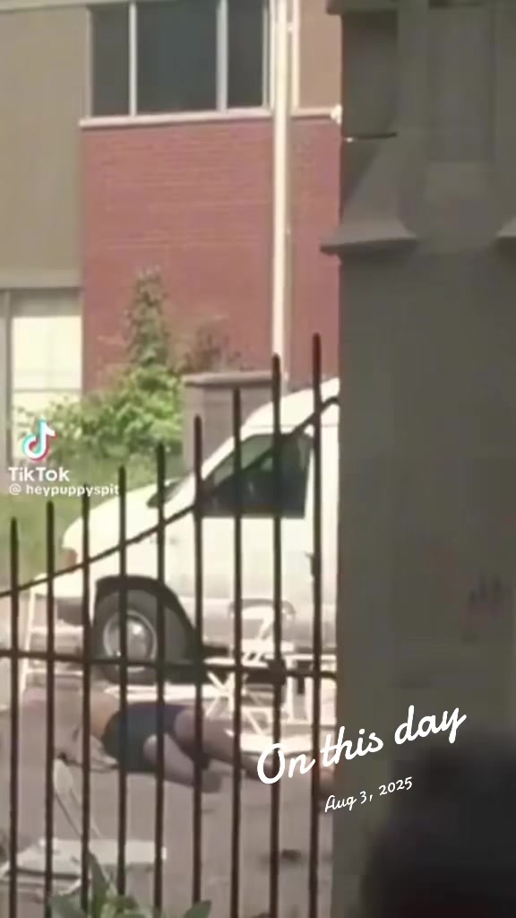 @LogicGal