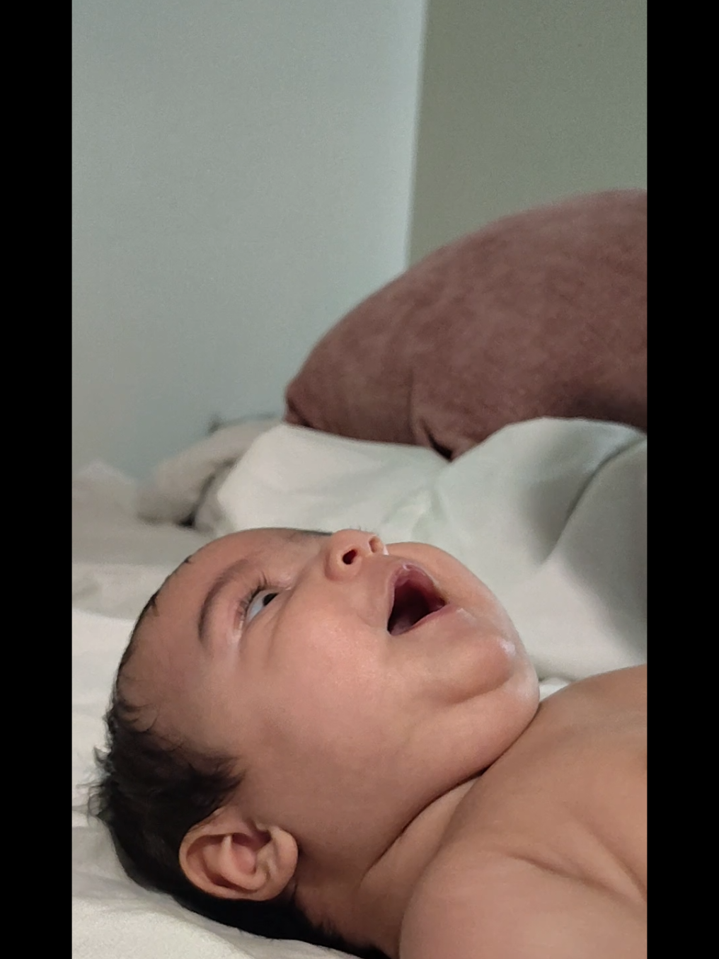 @Baby Soret