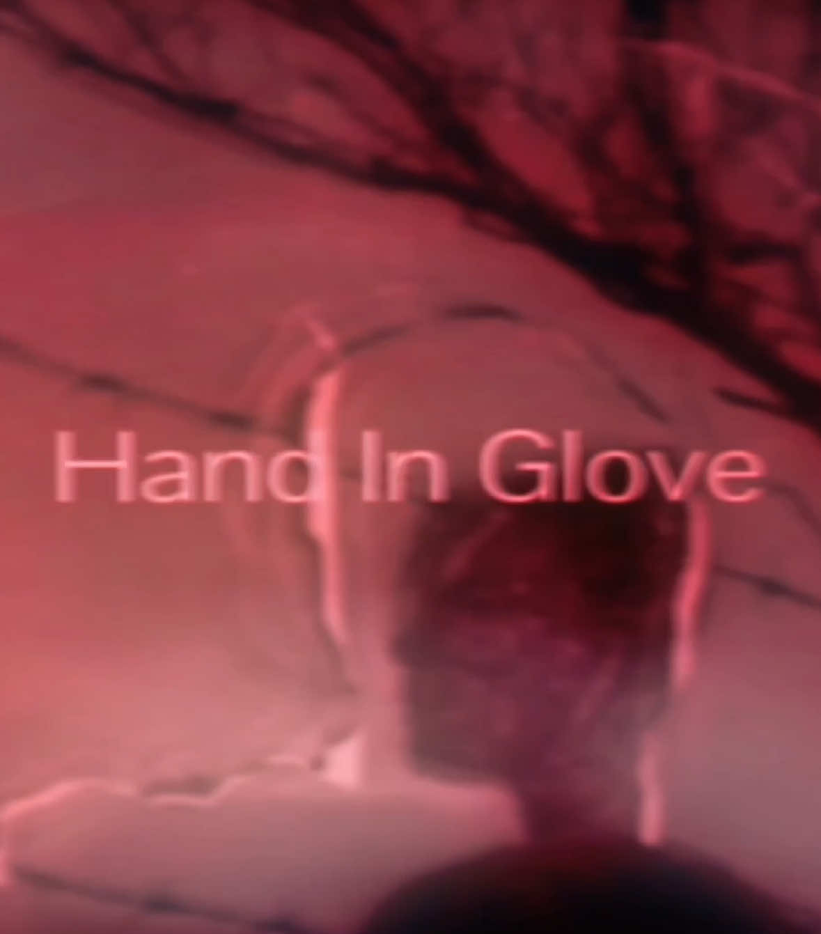 @🎞️swrl⋆
