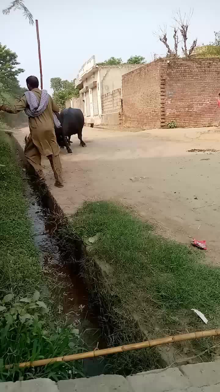 @wajid ali bop