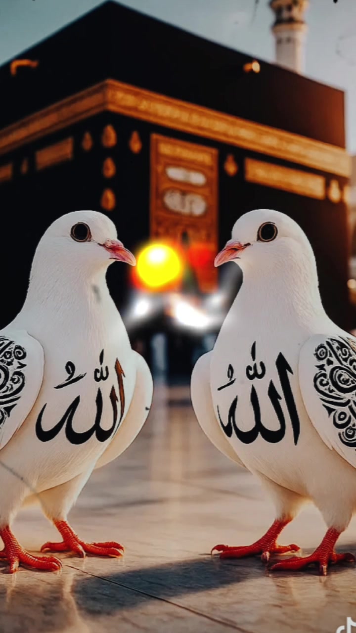 @ALlAh 💖 ALlAh
