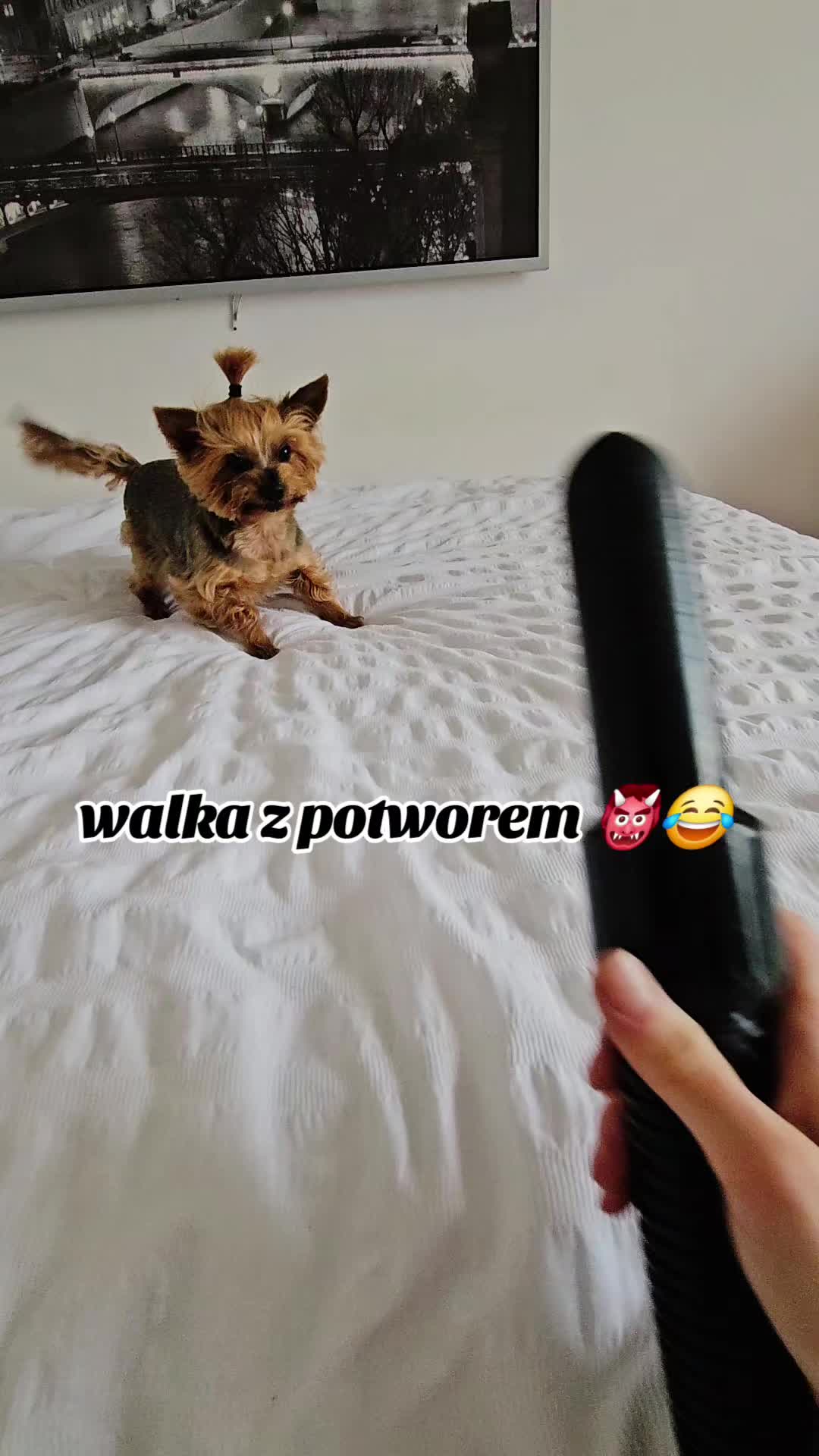 @Ewelina Bednarska