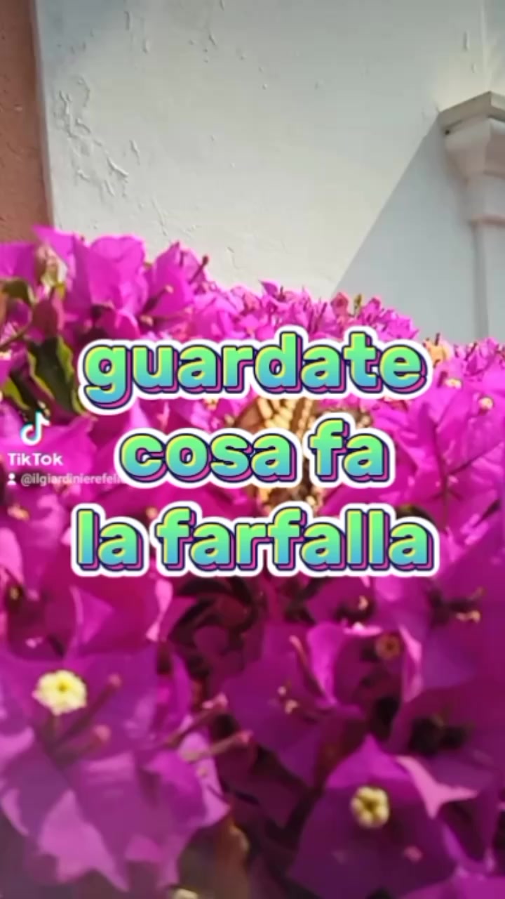 @Il giardiniere felice