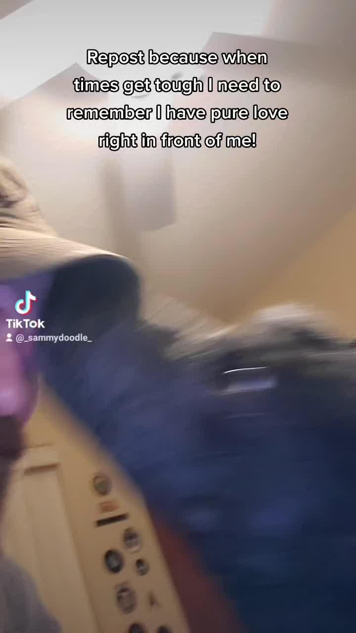@SammyDoodle🙂