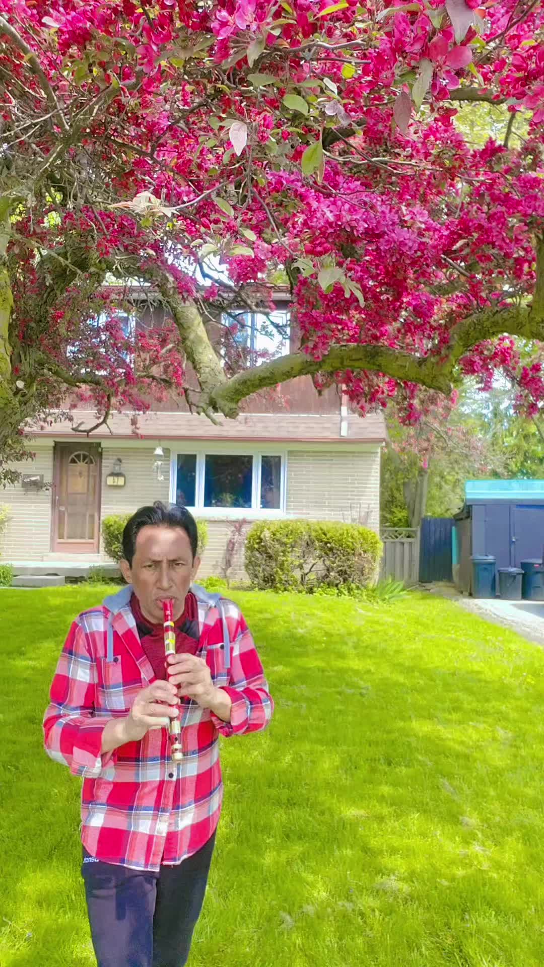 @Sajjad-Canada🇨🇦