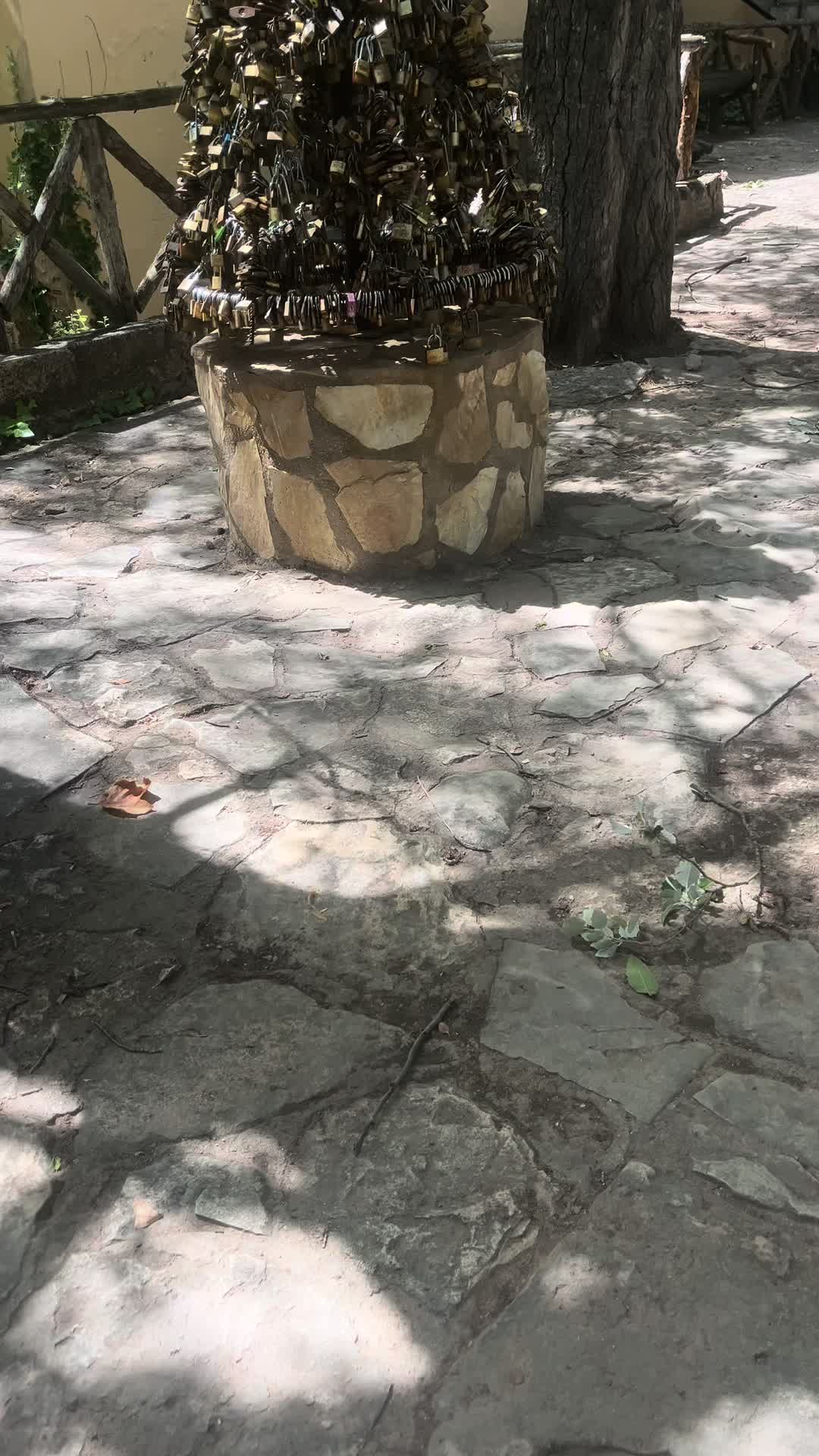 @Mari73💪🥊