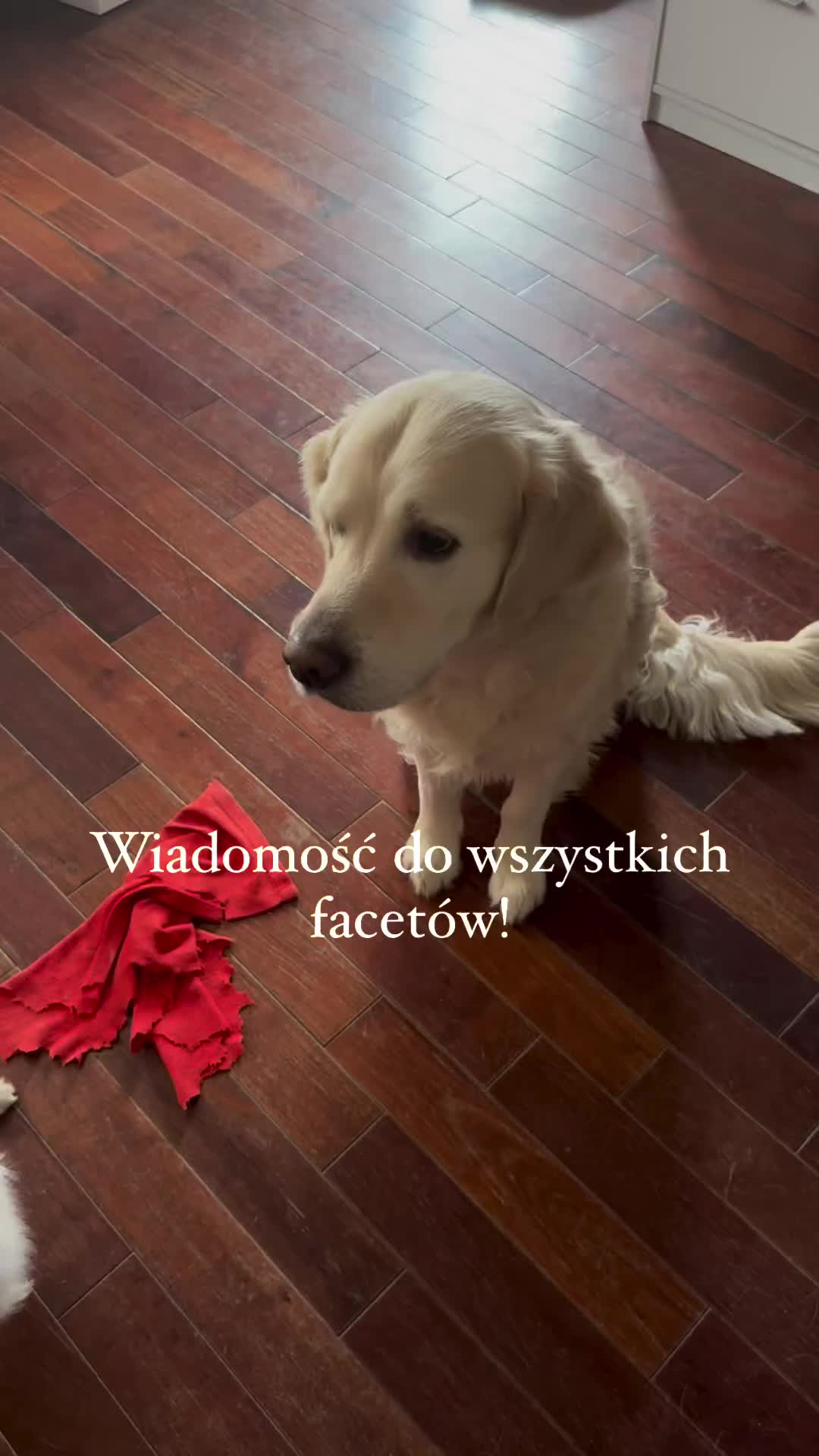 @Martyś 🥳