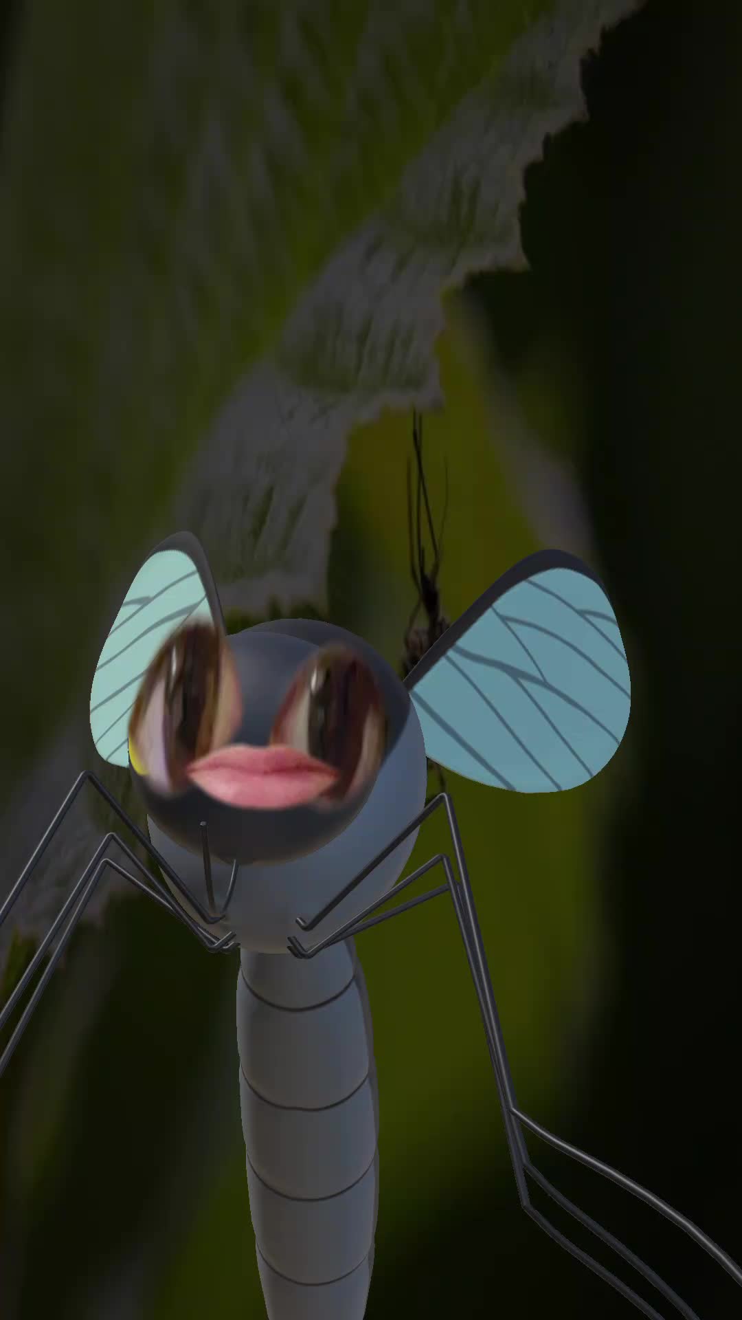 @Labsnd