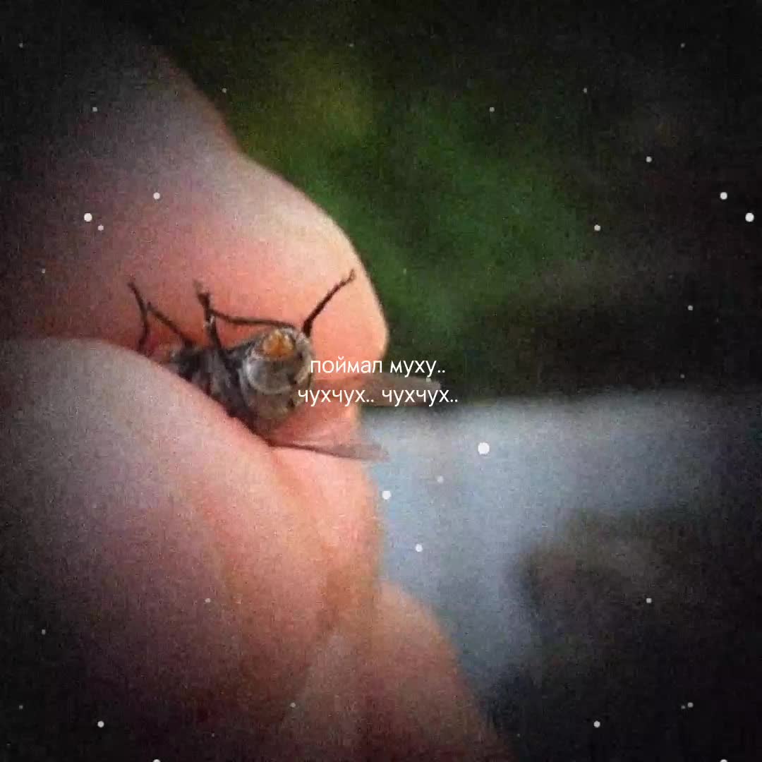@skz._.onelove