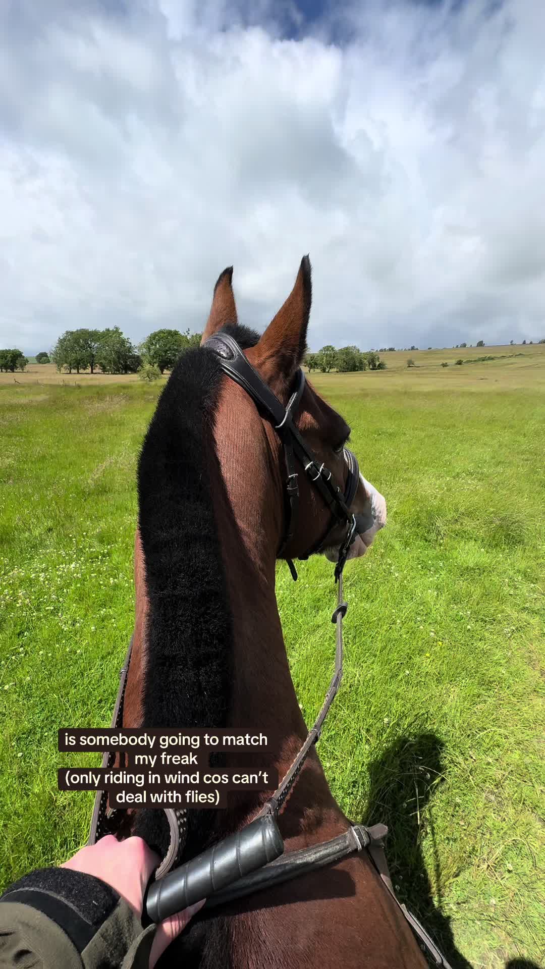 @Yardd | Equine Life Simplified