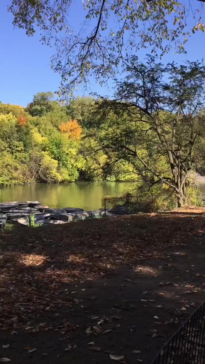 @🍁🎧🫶💌🍂