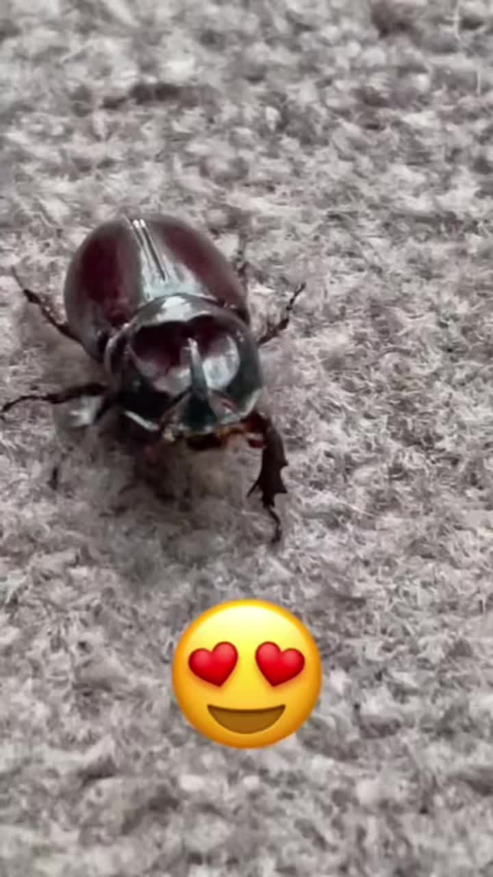 @Berit B. 🫣🙋♀️🫣