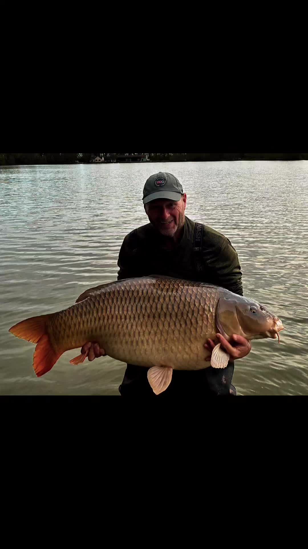 @scaley waters