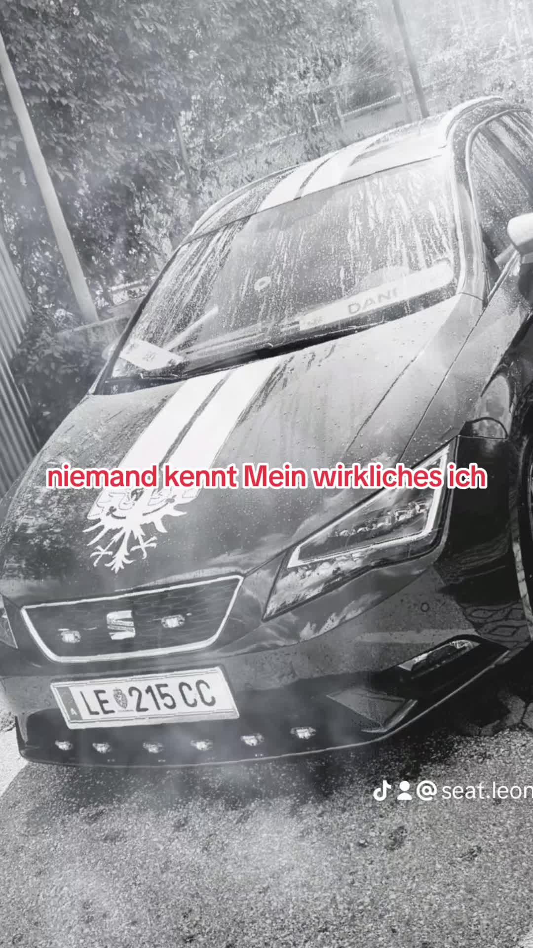 @SEAT Leon ST