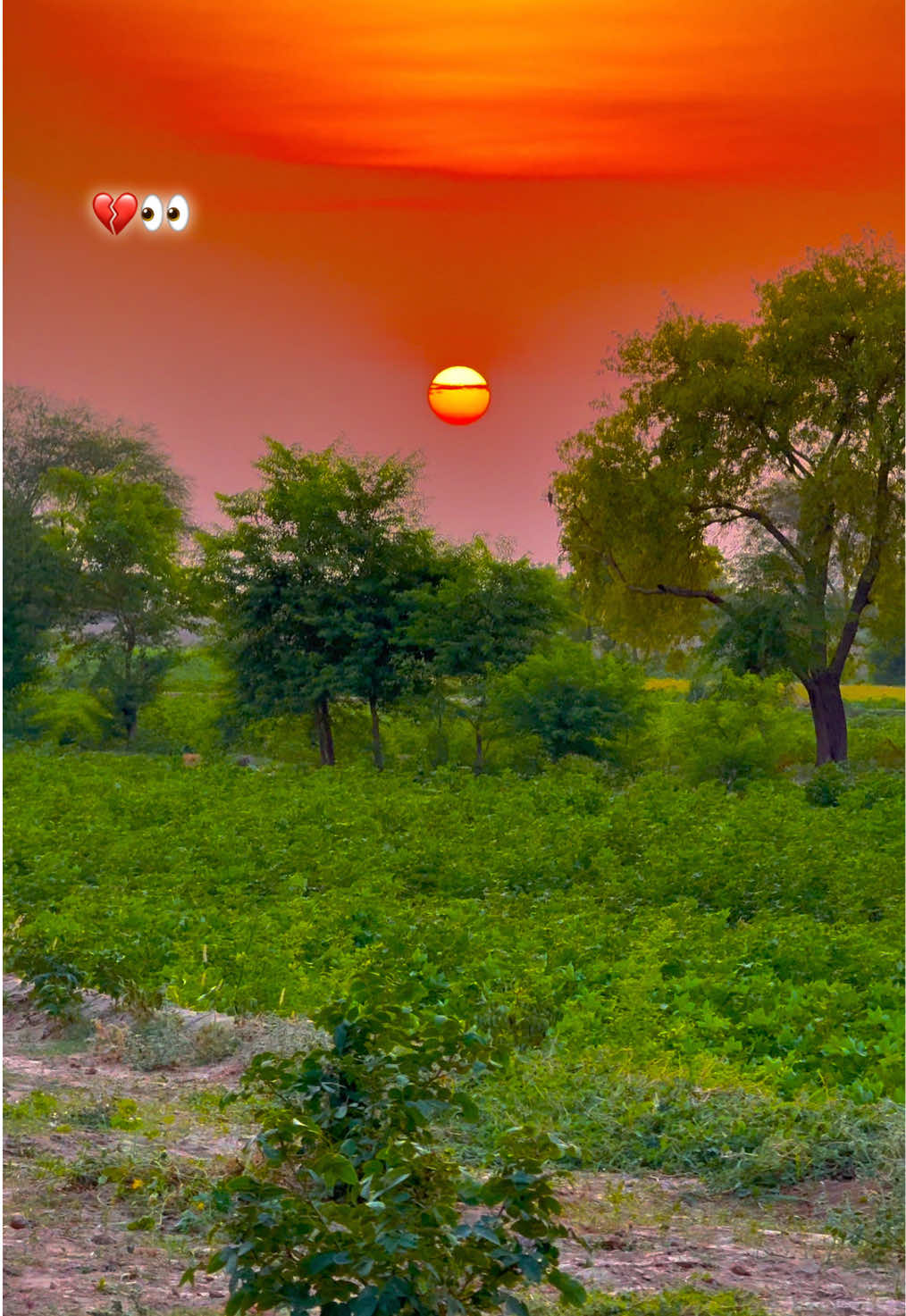 @احمد ہنجرا_بہاولنگر🥰