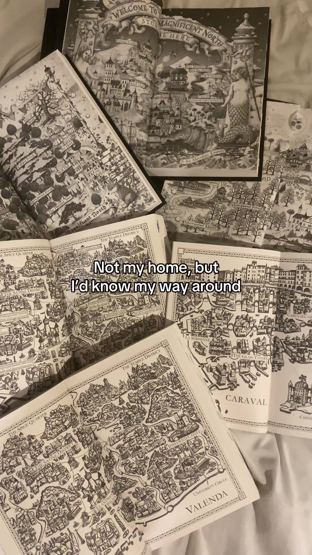 @chloebookaddict