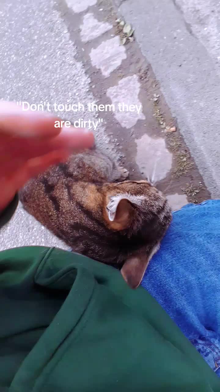 @𝓡𝓲𝓸𝓷𝓪ꨄ