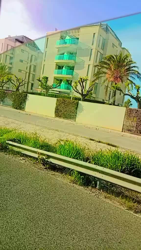 @Shazaan Akhtar