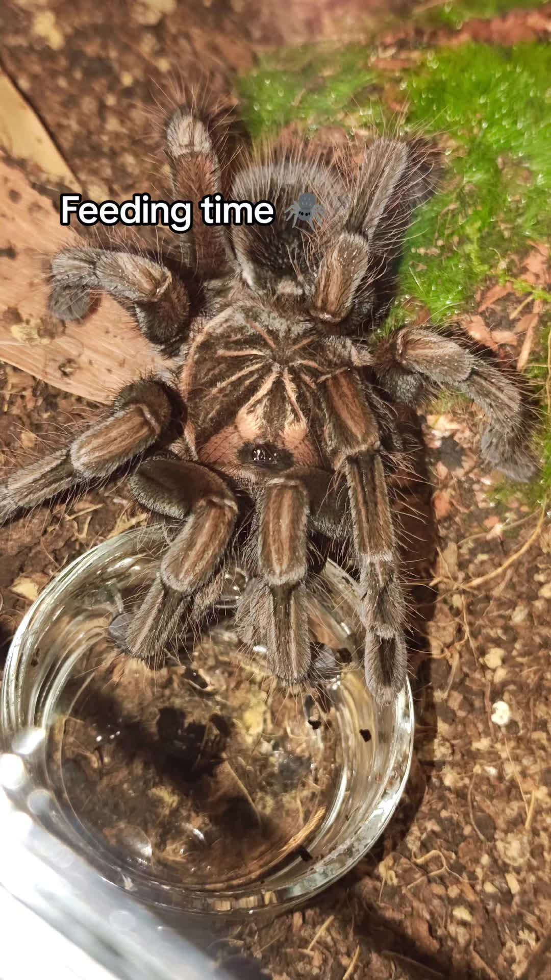 @Magdalena® 🕷️🐍🦂🪴
