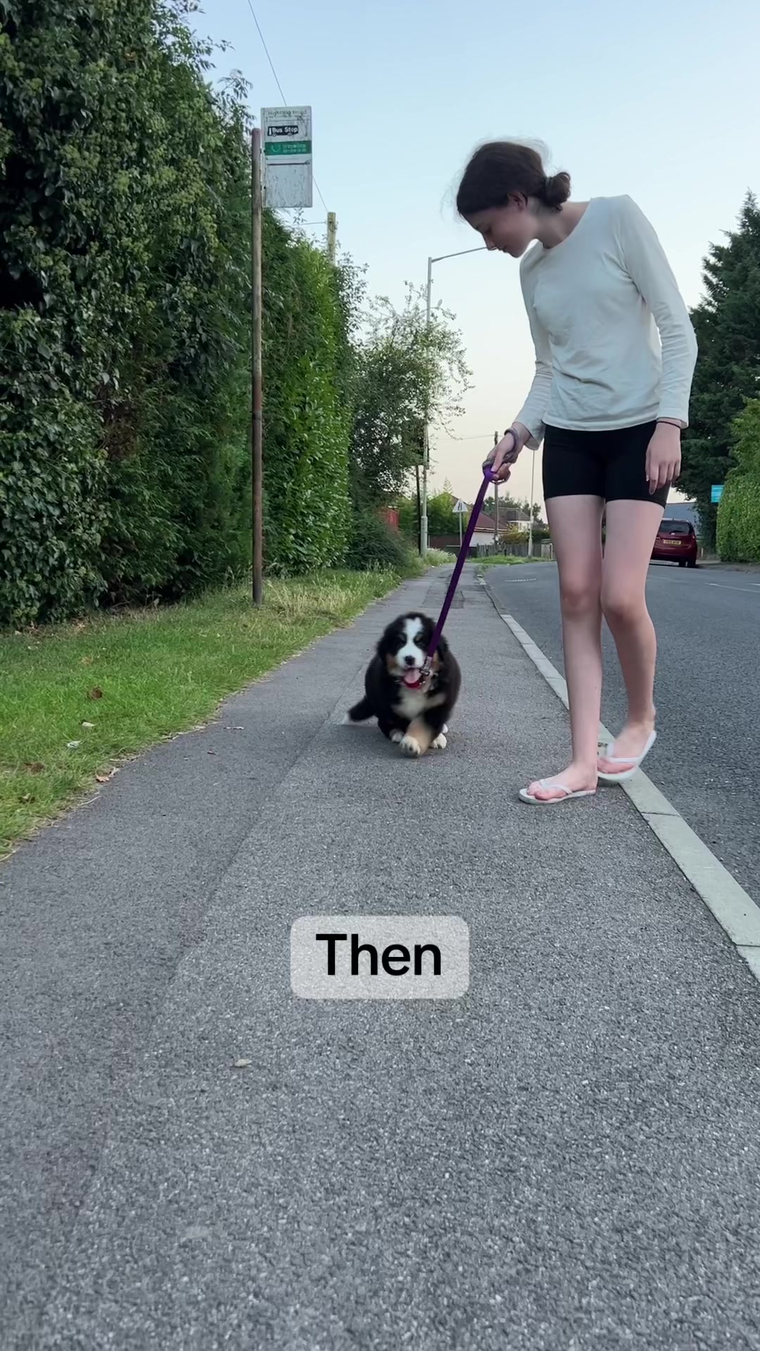 @GorgeousGeorge