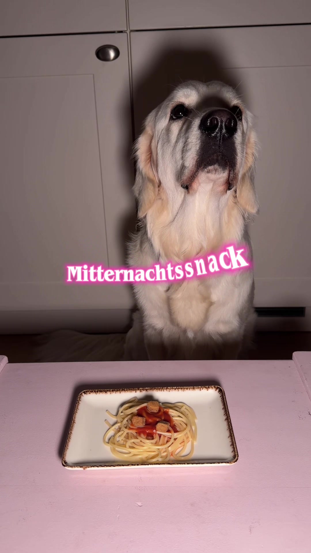 @Miss Ellie The Golden 🤍