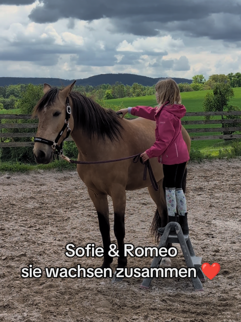 @Caro_Sofie_Offenstallliebe