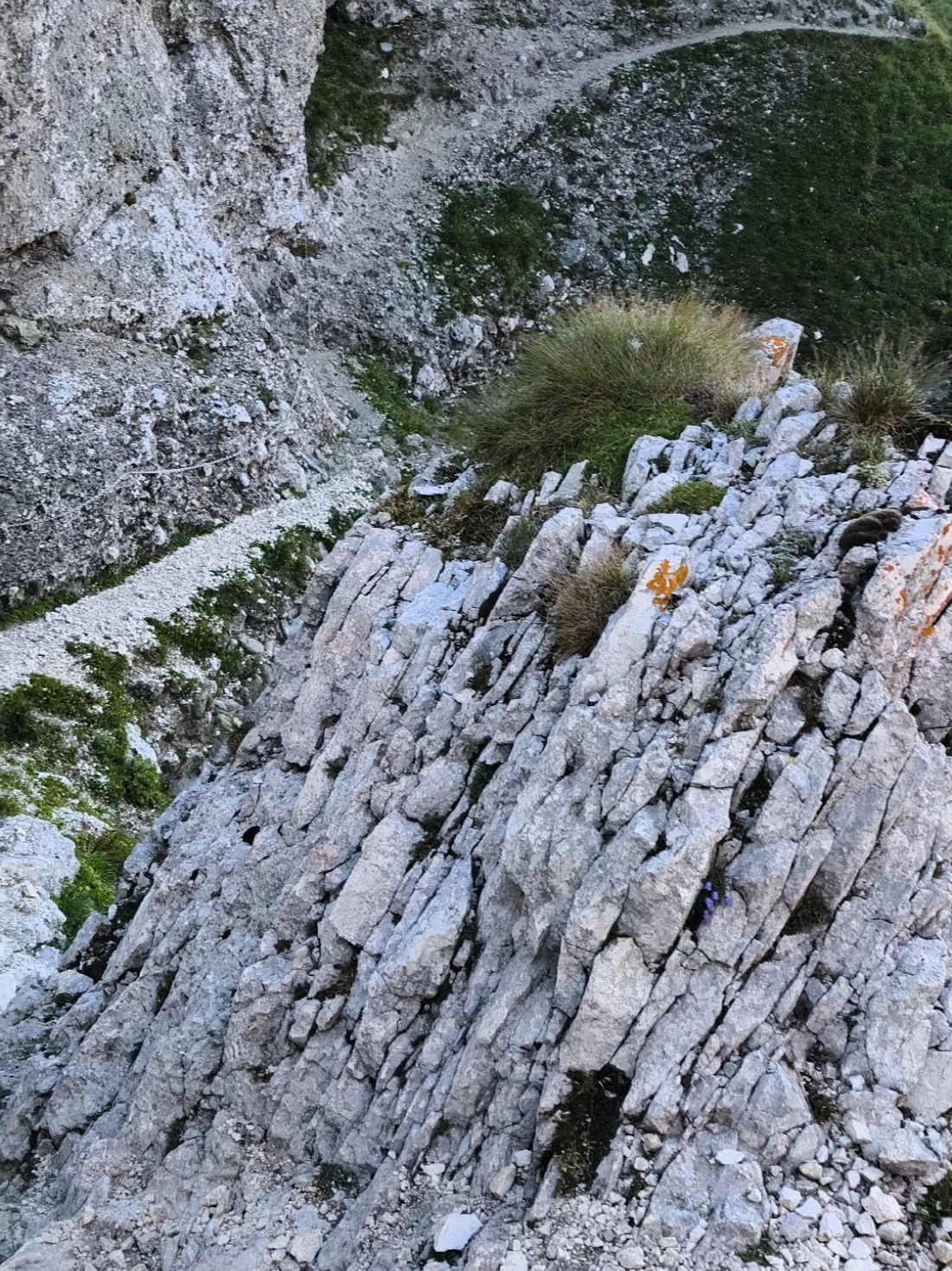 @Călător prin viață 🌅🏞️🌌