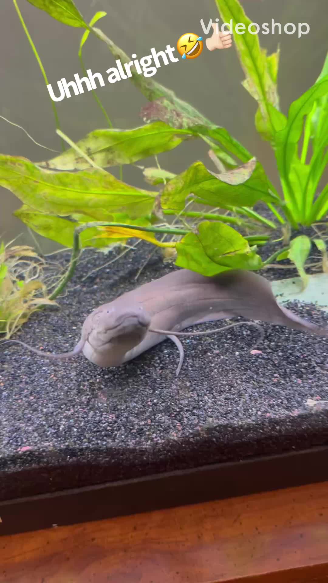 @fishdaddy2002
