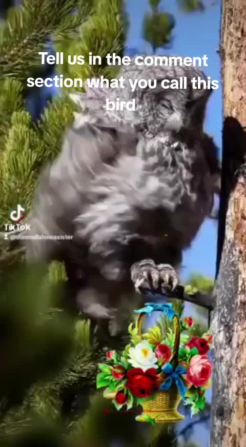 @Omasiri