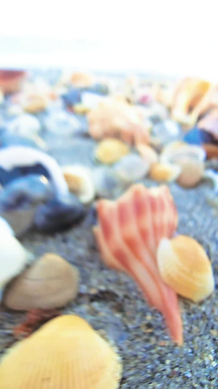 @justbeachy