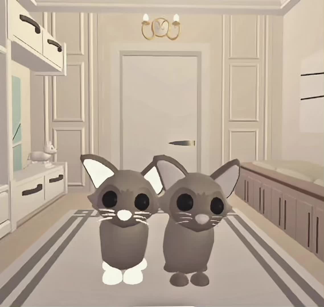 @꒰ዞ⍺𝗒ﮐ𝗂˚🤍