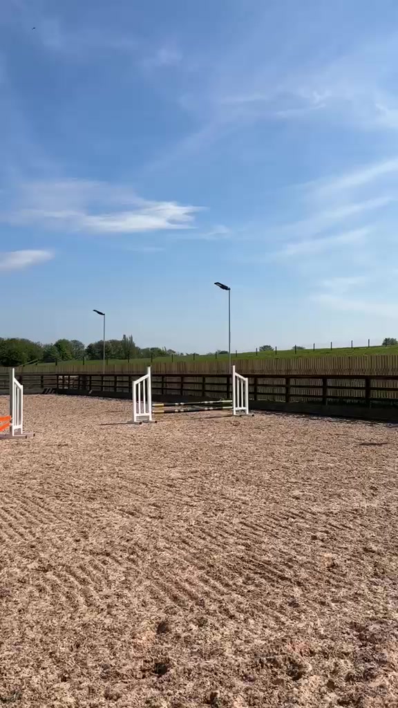 @lisajanewalters