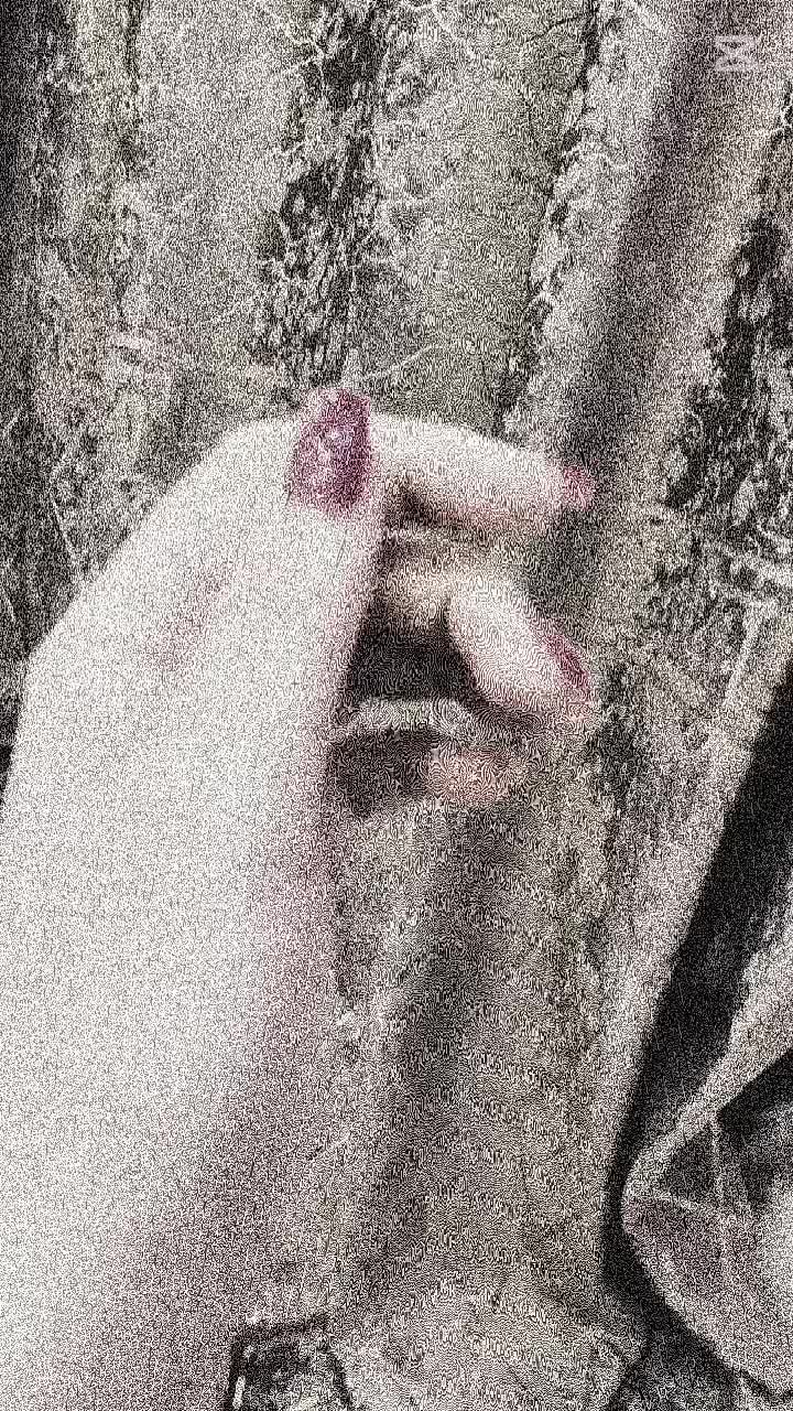 @چشم قهویی👀🤎