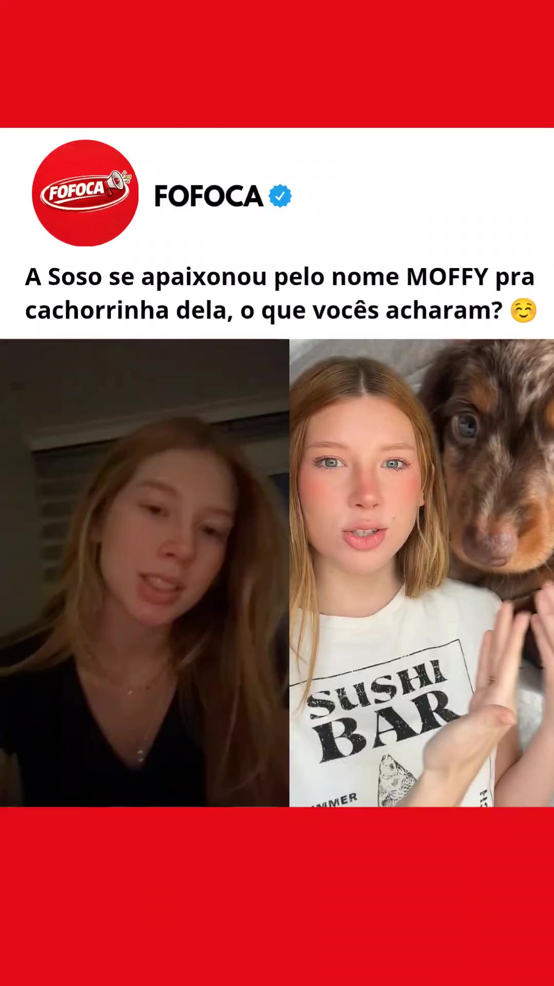 @FOFOCA 🥏