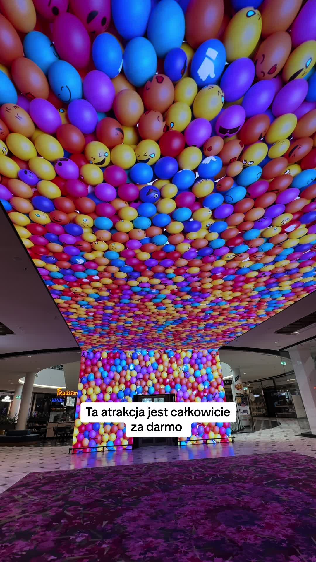 @Zooliday