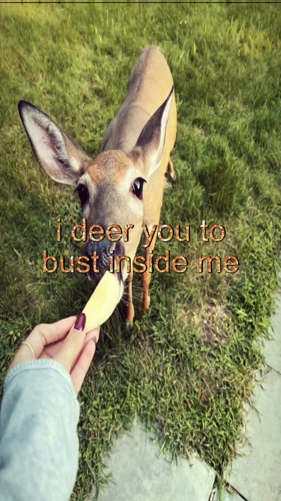 @livinlikedis