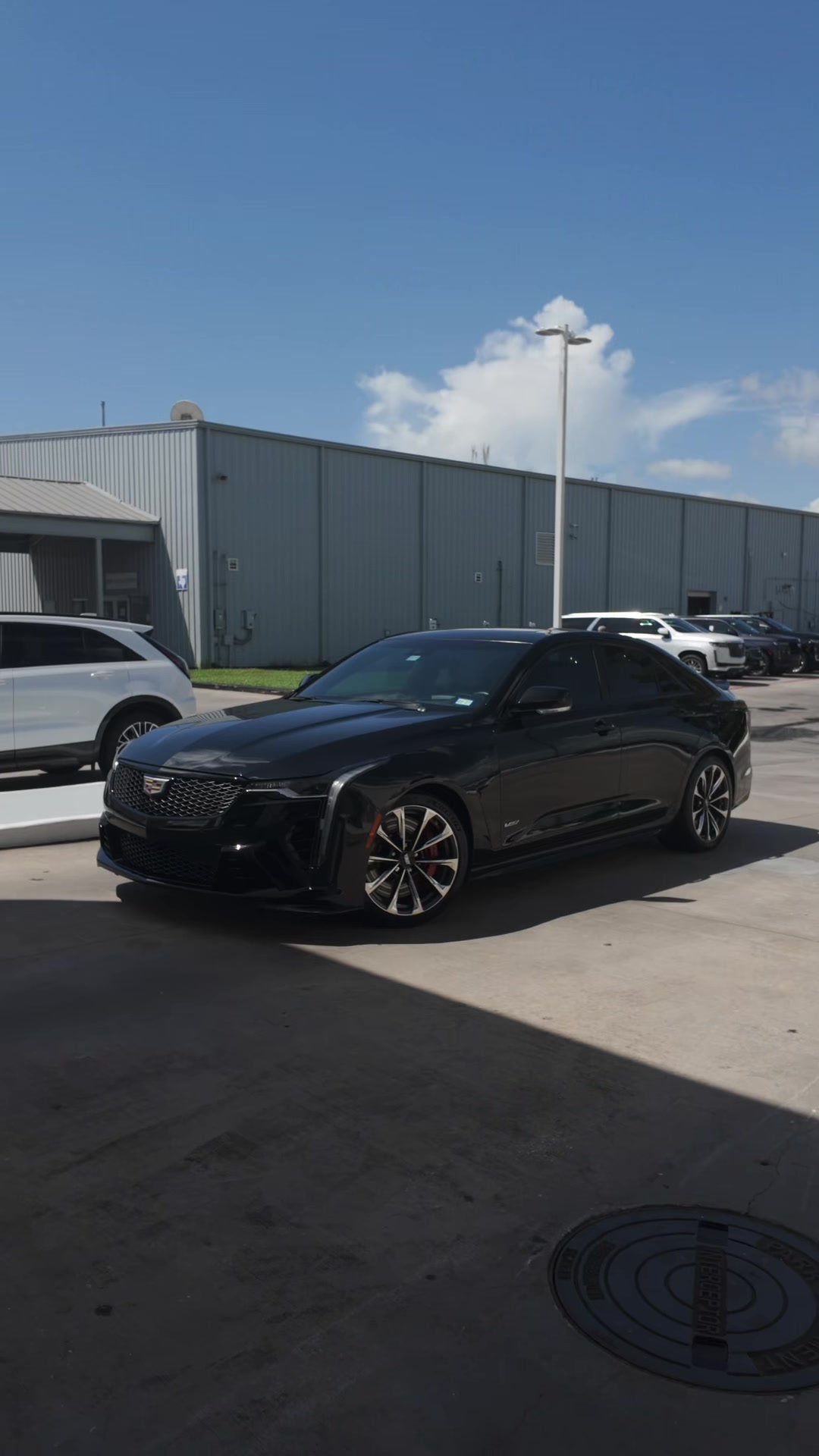 @Cadillac from Ty