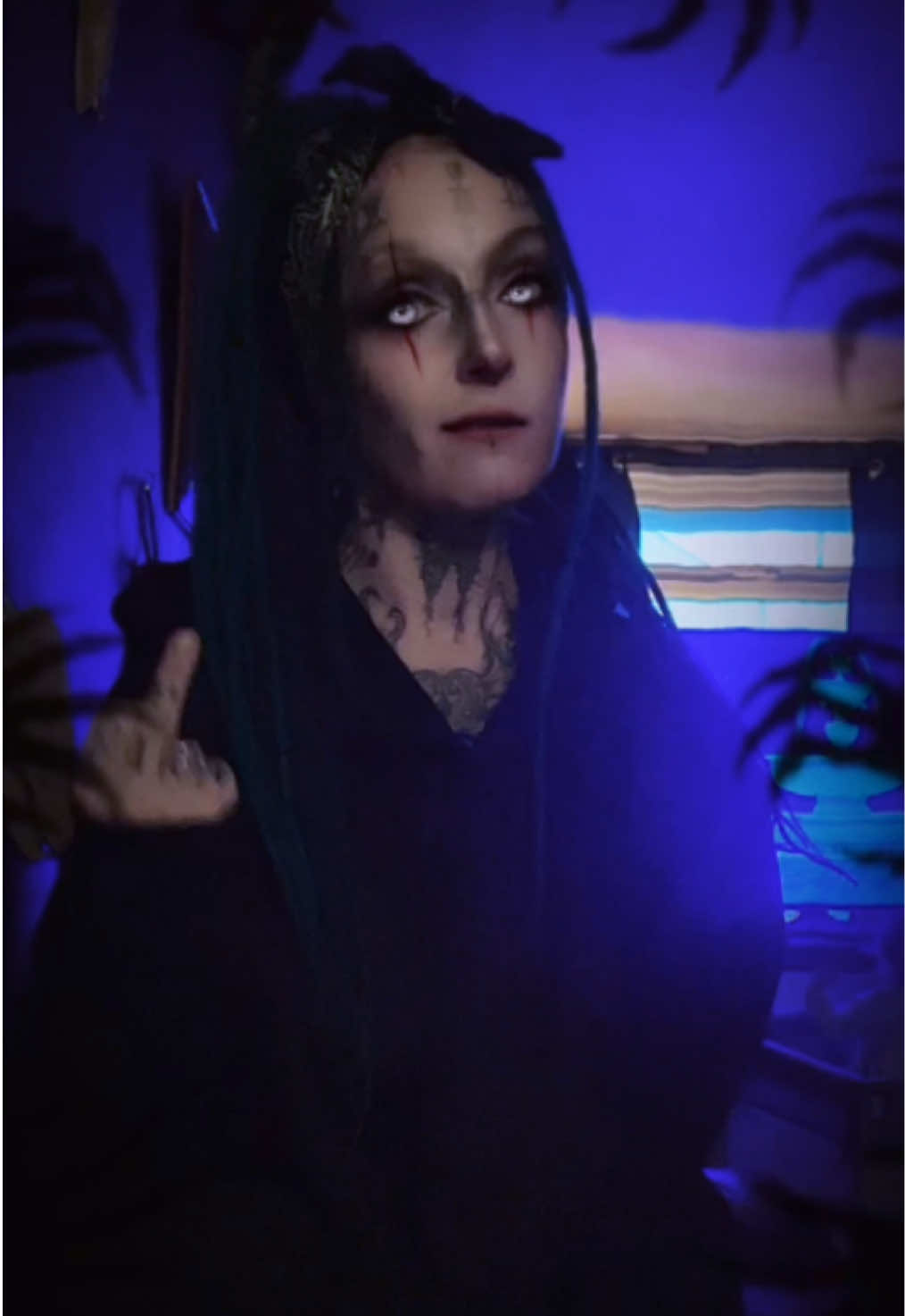 @Milenko (Ragdoll)