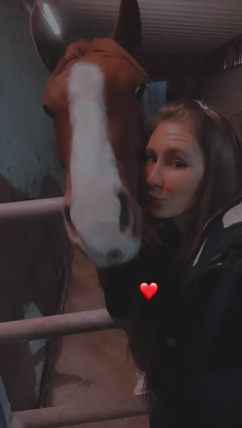 @𝕋𝕒𝕒𝕞𝕪