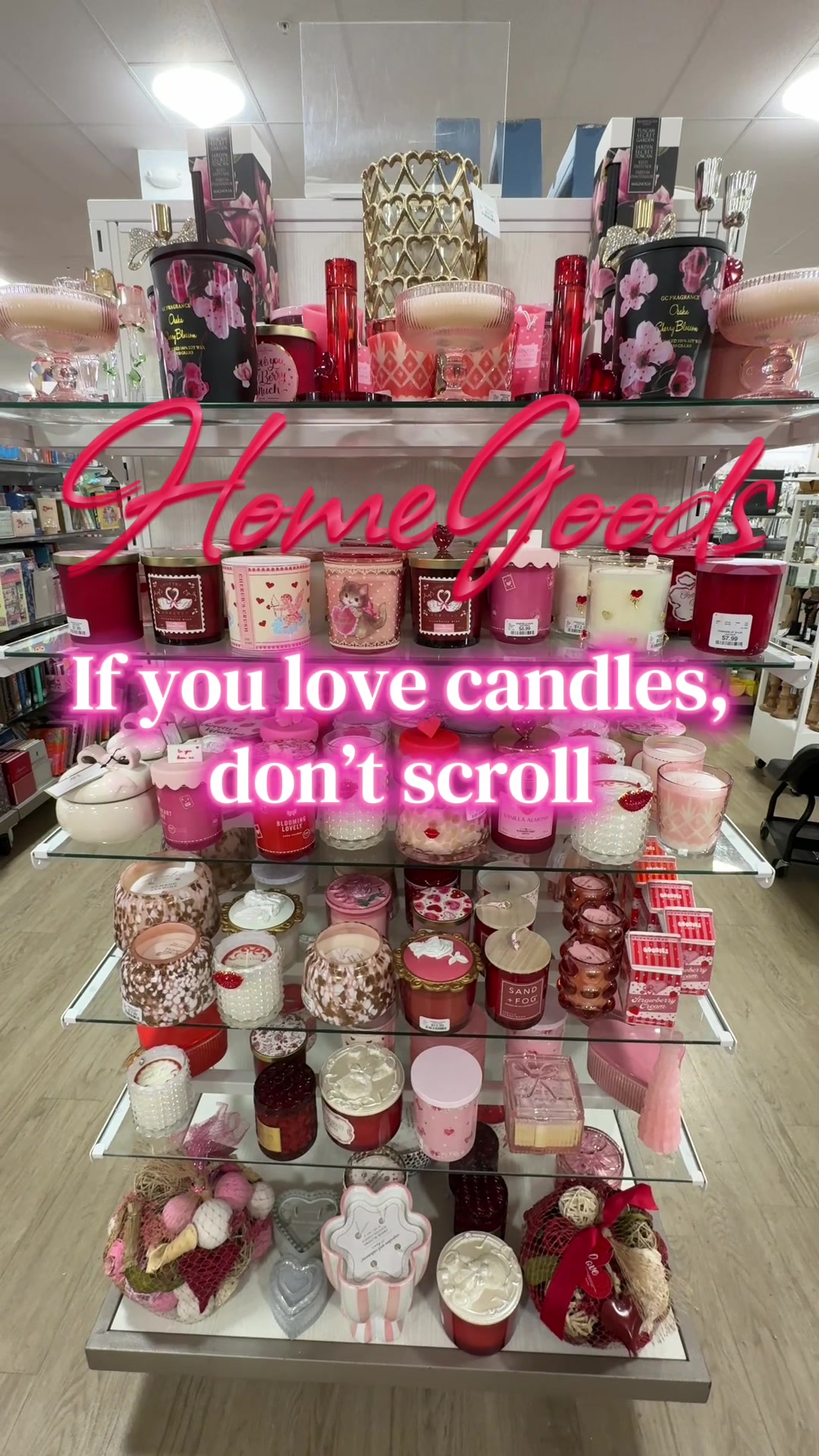 @Lauren Joelle | Fav Finds