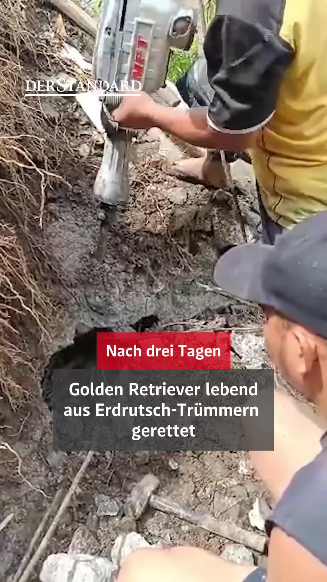@DER STANDARD News