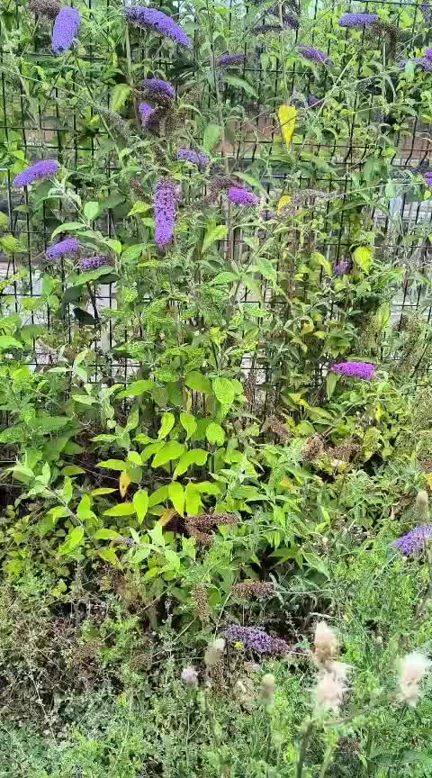 @Animal & Nature Lovers